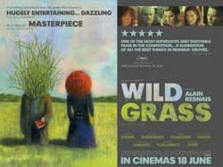 wildgrass